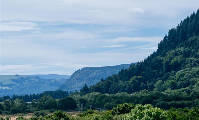 A stunning mountains-and-forests setting